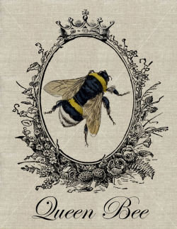 QUEEN BEE - Vintage Bumblebee Fabric Transfer Download - Buy 2 Get 1 ...