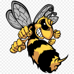 Bee Hornet Cartoon Clip art - Fist head cartoon bumblebee png ...