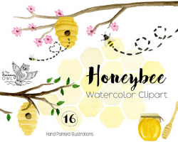 Watercolor Honeybee Clipart - Watercolor Clipart - Honey Bee ...