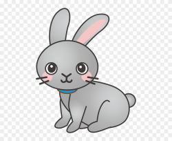 Rabbit, Bunny, Animal, Cute - Rabbit Cartoon Png Clipart ...