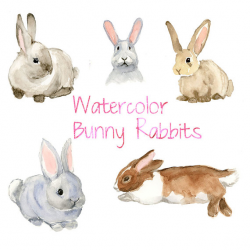 Watercolor Bunnies, Bunny Rabbit Clip Art, Nature clipart, Forest ...
