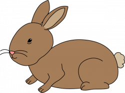Bunny Clip Art - Bunny Images