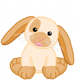 File:Holland Lop Bunny Excited.png - Webkinz Insider Wiki