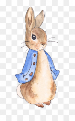 Rabbit PNG and PSD Free Download - The Tale of Peter Rabbit Clip art ...