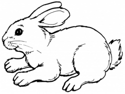 Draw A Cartoon Bunny Bunny Clipart Line Drawing - Pencil And In ...