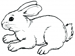 Bunny Outline Clipart Printable Coloring Minimal Outline Design With ...