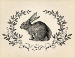 Printable Digital Graphics - Vintage Bunny HARE RABBIT clip ...
