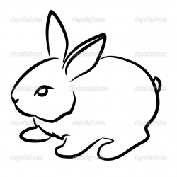 easy+detsiled+rsbbut+drawing | Rabbit, beautiful, cute ...