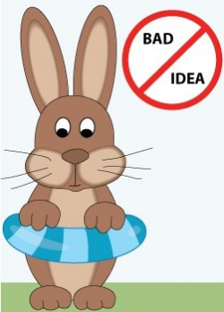 Do Not Bathe Bunnies! - BinkyBunny.com - House Rabbit Information ...