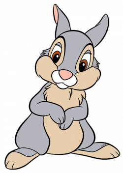 bunny thumper - Поиск в Google | Like | Pinterest | Rabbit and Journal
