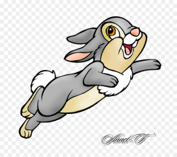 Thumper Rabbit show jumping Clip art - rabbit png download - 800*800 ...