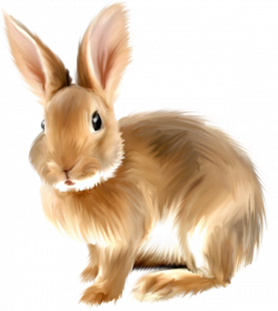 Painted Bunny Clipart.png | Gallery Yopriceville - High-Quality ...