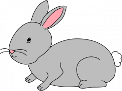 Gray Bunny Clipart
