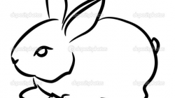 Black And White Rabbit Drawing Rabbit Black And White Bunny Black ...