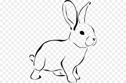 White Rabbit Easter Bunny Hare Clip art - Rabbit Cliparts png ...