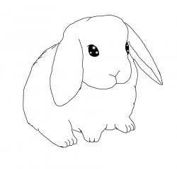 28+ Collection of Mini Lop Rabbit Drawing | High quality, free ...