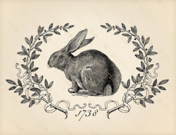Printable Digital Graphics Vintage Bunny HARE RABBIT clip