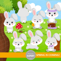 Spring clipart, Woodland animal, Bunny clipart, Baby bunny ...