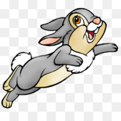 Rabbit Show Jumping PNG and PSD Free Download - Rabbit Cartoon Clip ...