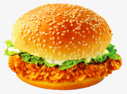 Fried Chicken Burger, Vegetables, Cheese, Chicken PNG Image and ...