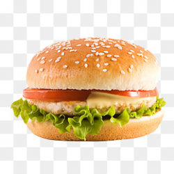 Chicken Burger PNG Images | Vectors and PSD Files | Free Download on ...