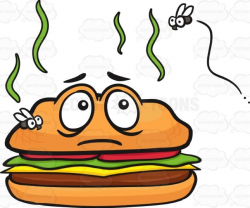 Stinky Hamburger With Flies Around It | Hamburgers