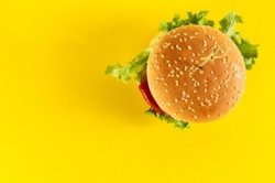 Burger Patty Vectors, Photos and PSD files | Free Download