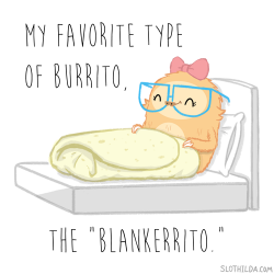 Slothilda Sloth Burrito Blanket | Slothilda Sloth | Pinterest ...