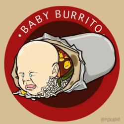 Baby Burrito GIF - Find & Share on GIPHY