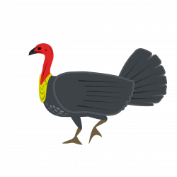 Clipart - Australian Brush-turkey