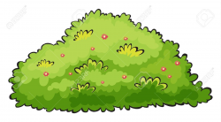 bush: Illustration of a green | Clipart Panda - Free Clipart Images