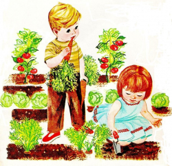 retro photo of gardening | You can find the full library of vintage ...
