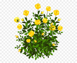 Rose Shrub Flower Clip art - Yellow Rose Bush PNG Clipart Picture ...