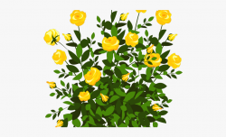 Rose Bush Clipart Colorful - Bush With Flowers Transparent ...