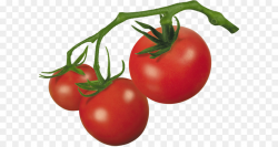 Cherry tomato Roma tomato Clip art - Tomato Png Image png download ...