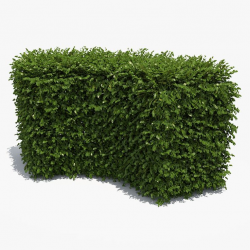 21 best shrubs 3d models/ 3d модели кустов images on Pinterest ...