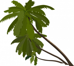 Jungle Leaves Cliparts - Shop of Clipart Library