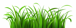 Grass jungle image clipart