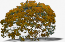 Brown Bush Tree Landscape Tree Texture Effect, Shrub, Brown Tree ...