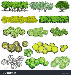 Landscape Design : Landscape Design Plant Symbols Lovely Bush ...
