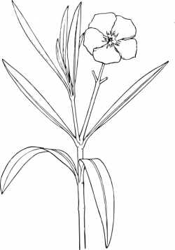 Flower Bush clip art Free vector in Open office drawing svg ( .svg ...