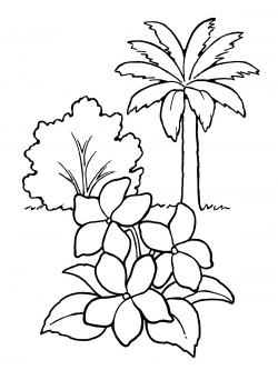 Line Drawing Of Trees at GetDrawings.com | Free for personal use ...