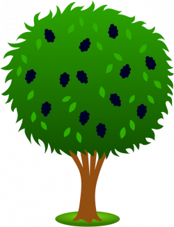Mulberry Bush - Free Clipart | Clipart Panda - Free Clipart Images