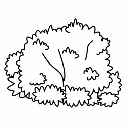 28+ Collection of Bush Plant Drawing | High quality, free cliparts ...
