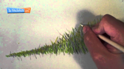 How to Draw Grass - Colored Pencils - YouTube