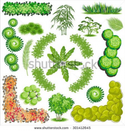 stock-vector-trees-and-bush-item-top-view-for-landscape-design ...