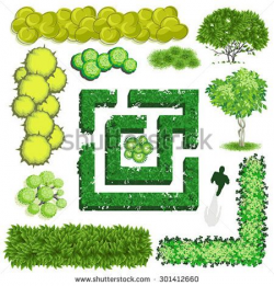 Trees and bush item top view for landscape design, vector icon ...