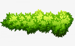Green Bush, Shrub, Plant, Green PNG Image and Clipart for Free Download