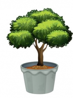 5.png | Potted flowers, Flowers and Clip art