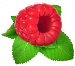Pomegranate PNG Clipart Picture | ✪ Clipart ✪ | Pinterest ...